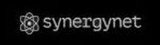 synergynet.ru