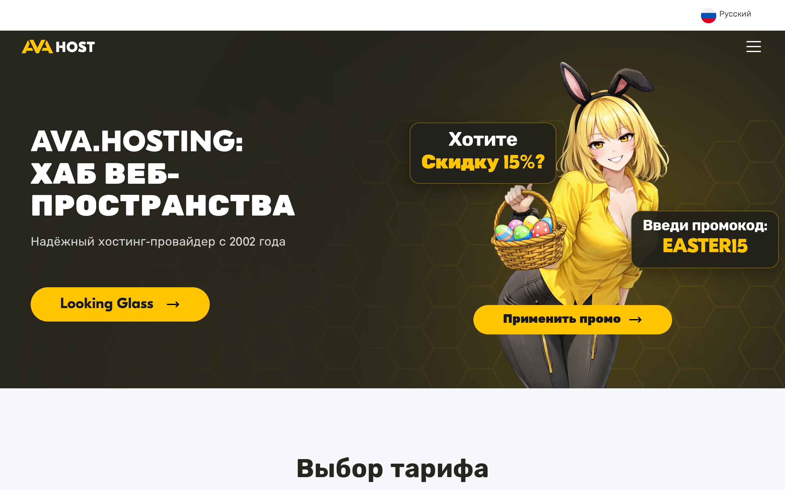 avahost.ru